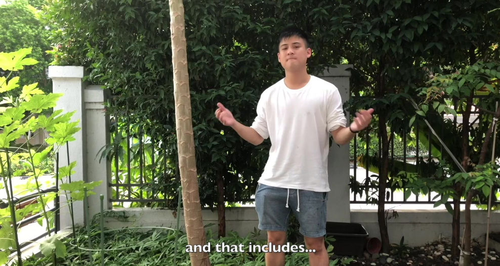 attackad_subtitlesedit2